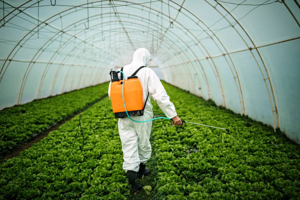 Best Mosquito Control Services  in Cavalero, WA