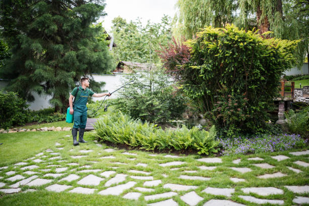 Best Affordable Pest Control Services  in Cavalero, WA