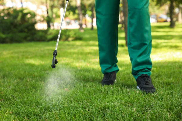Best Pest Control Near Me  in Cavalero, WA