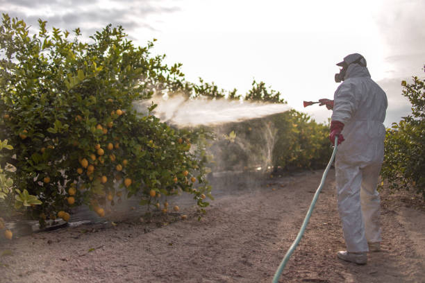 Best Pest Inspection Near Me  in Cavalero, WA