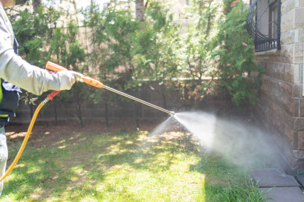 Best Cockroach Control Services  in Cavalero, WA