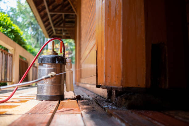 Best Pest Removal Services  in Cavalero, WA