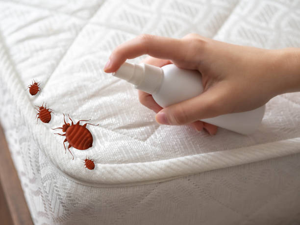 Best Bed Bug Extermination  in Cavalero, WA