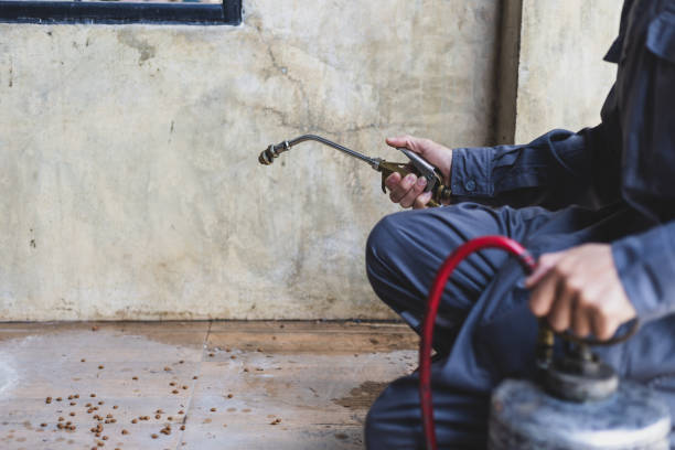 Best Emergency Pest Control  in Cavalero, WA